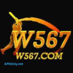 W567 Game