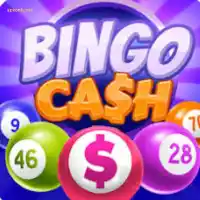 Bingo Cash Game – Complete Guide to Earning Money 1